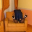 PennyTV
