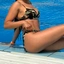 Honey1994