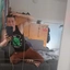 Giallaverde76