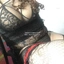 TRAVESTAMASCHIA