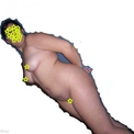 padroncinaschiavetto