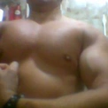 paloaltox