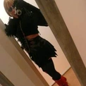 ladygagaa