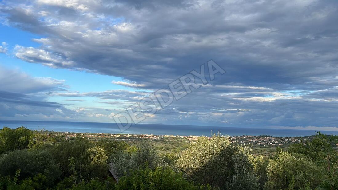 semplice145104738