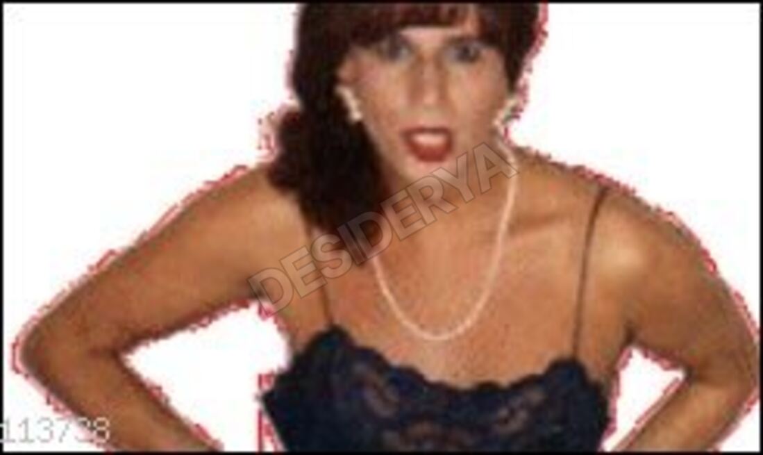 schiavatrans1gratis5348330