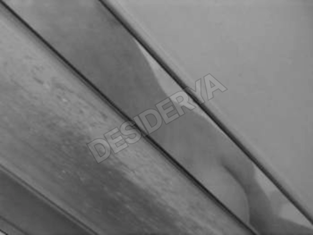 luiecpxbelle5519784