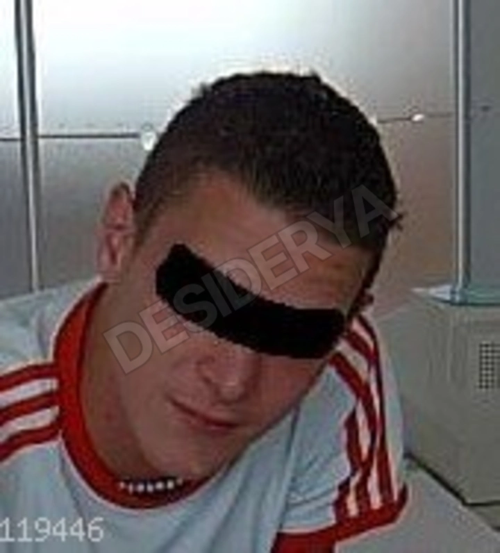 Wolf319785352549