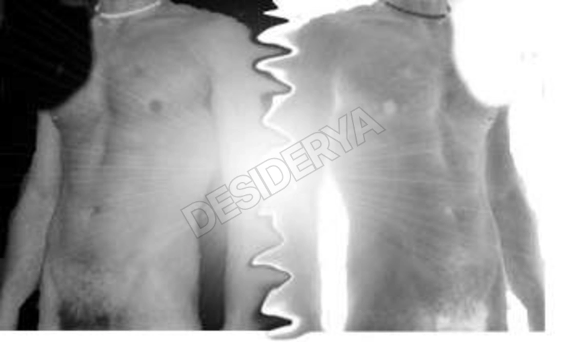 desiderio815331456