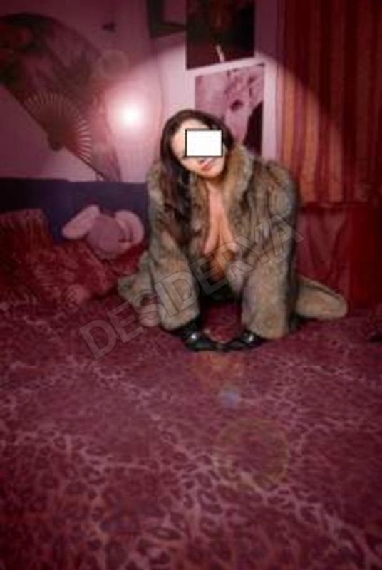copleitrans5560548