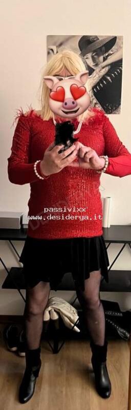 passivixx5880094