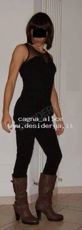 cagna3alice5545815