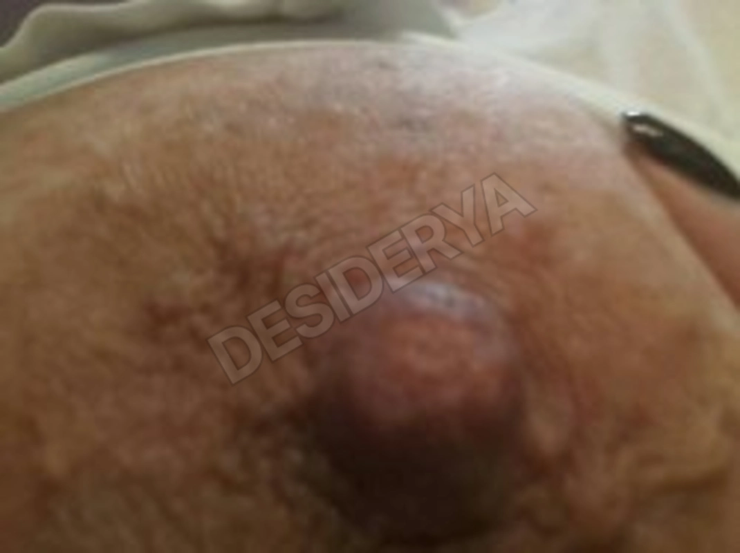 taniamarco4637496