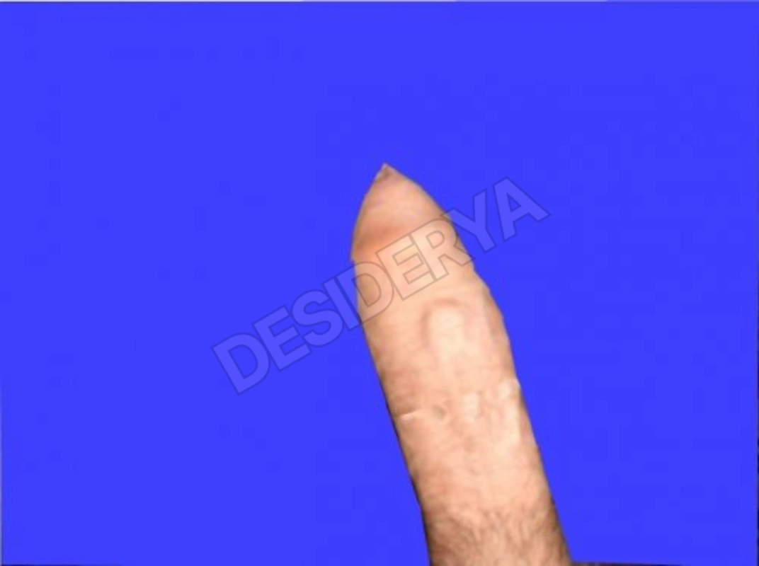 fiorista8411834561133