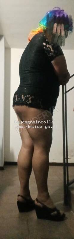 Gaycagnaincollant5884590