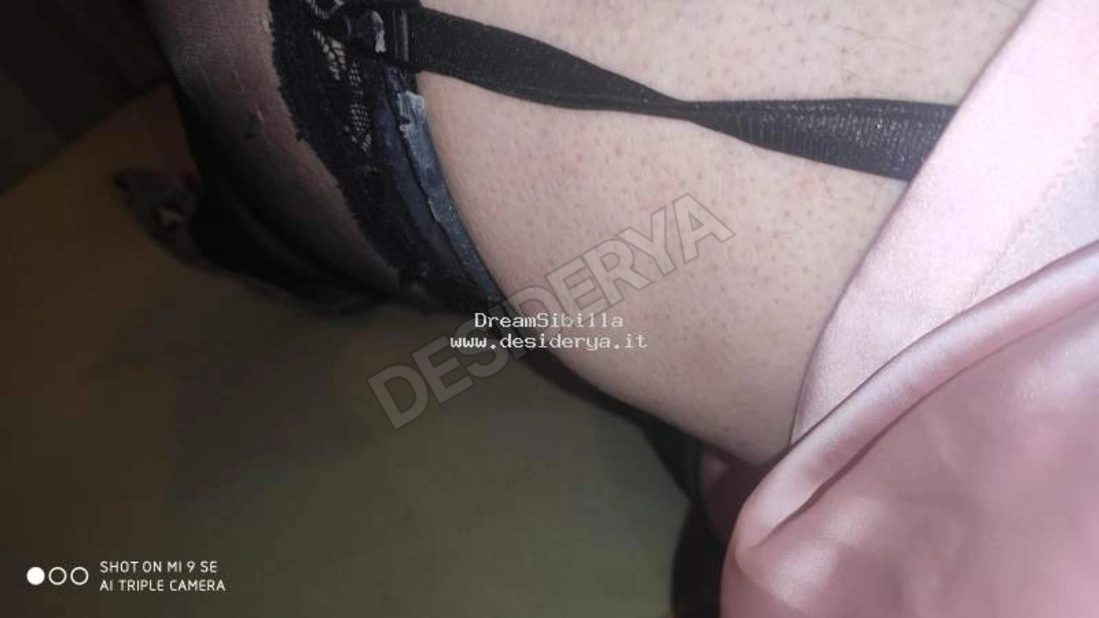 DreamSibilla5862830