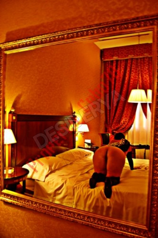 cpbo704534542
