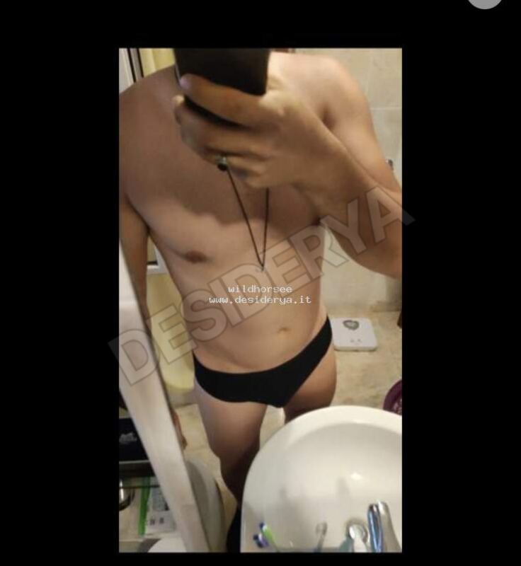 wildhorsee5882096