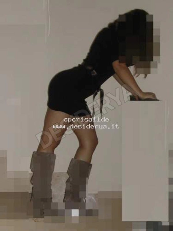 cpcrisalide5352427