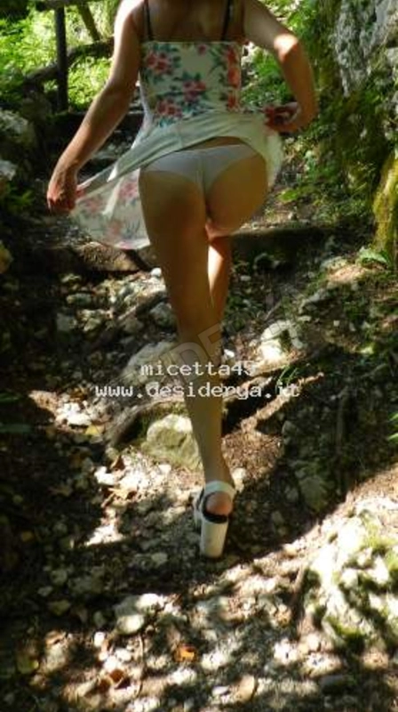 micetta455838600