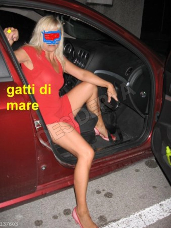 gatti1di1mare5363292
