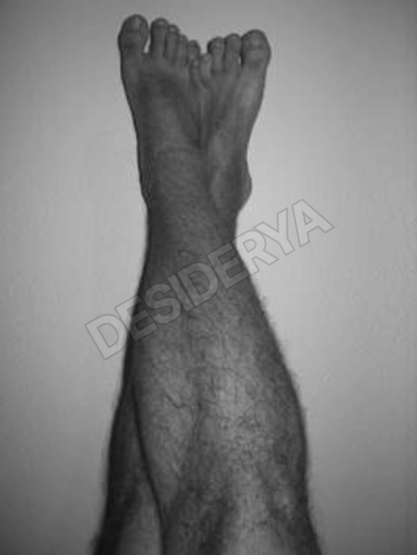 testa19793659945571200