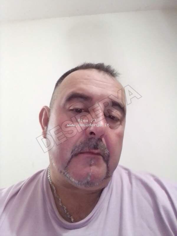 Alex17315881043