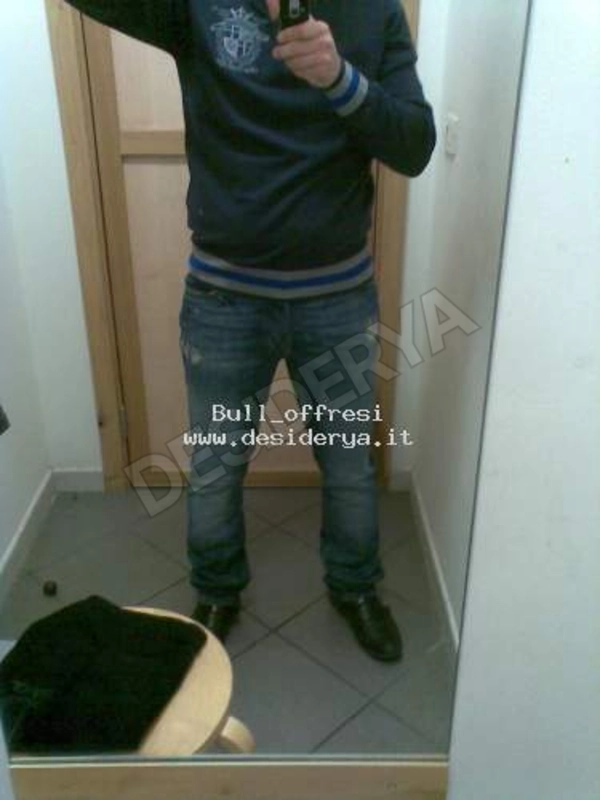 Bull3offresi5593935