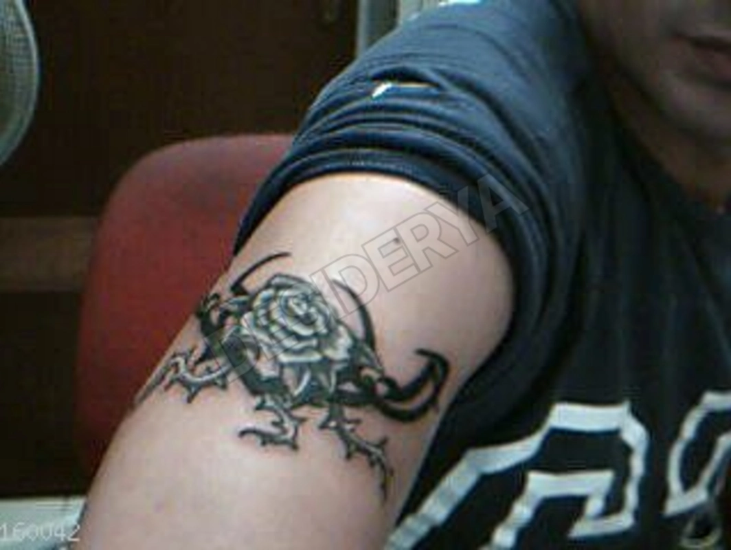 agostomax5376697