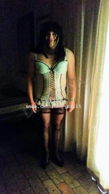 elisa1620795283943