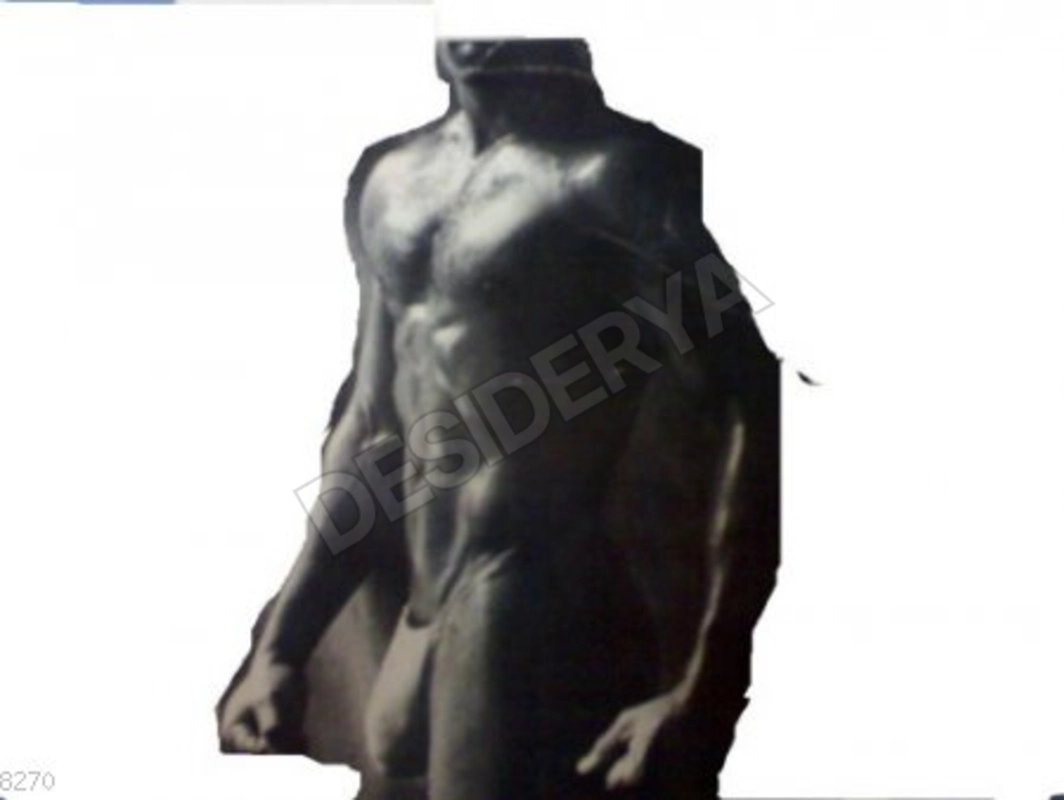 bodyguard20045266187