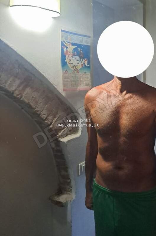 Lucca304515883429