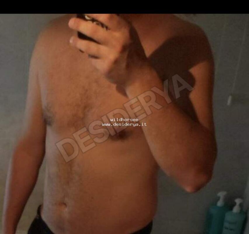 wildhorsee5882097