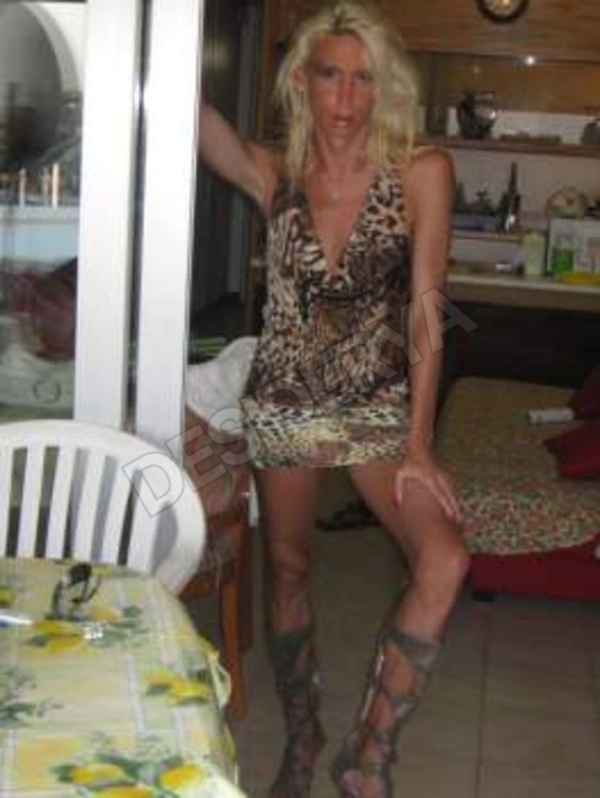 mitrans745564515