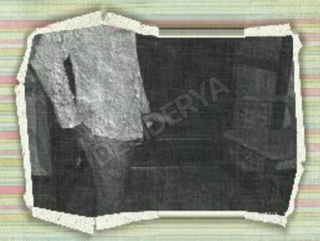ricercati4696931