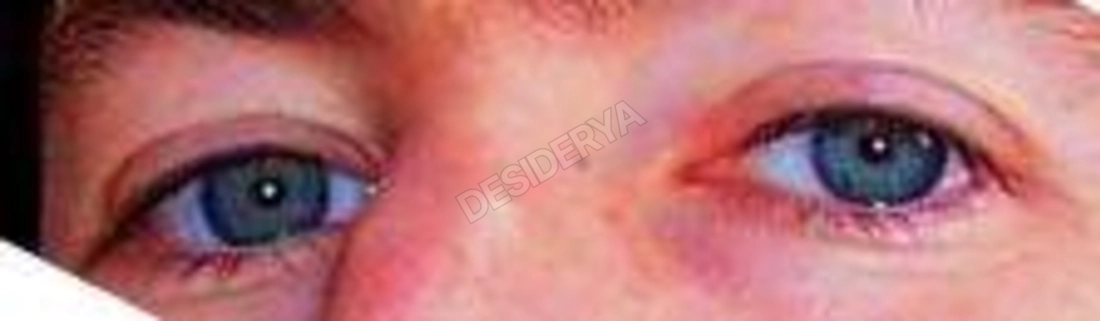 stefa765570305