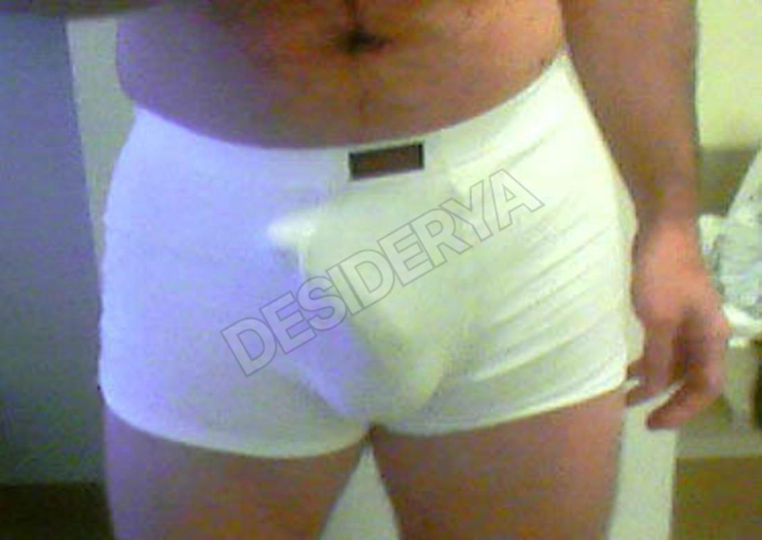 ulysse4498762