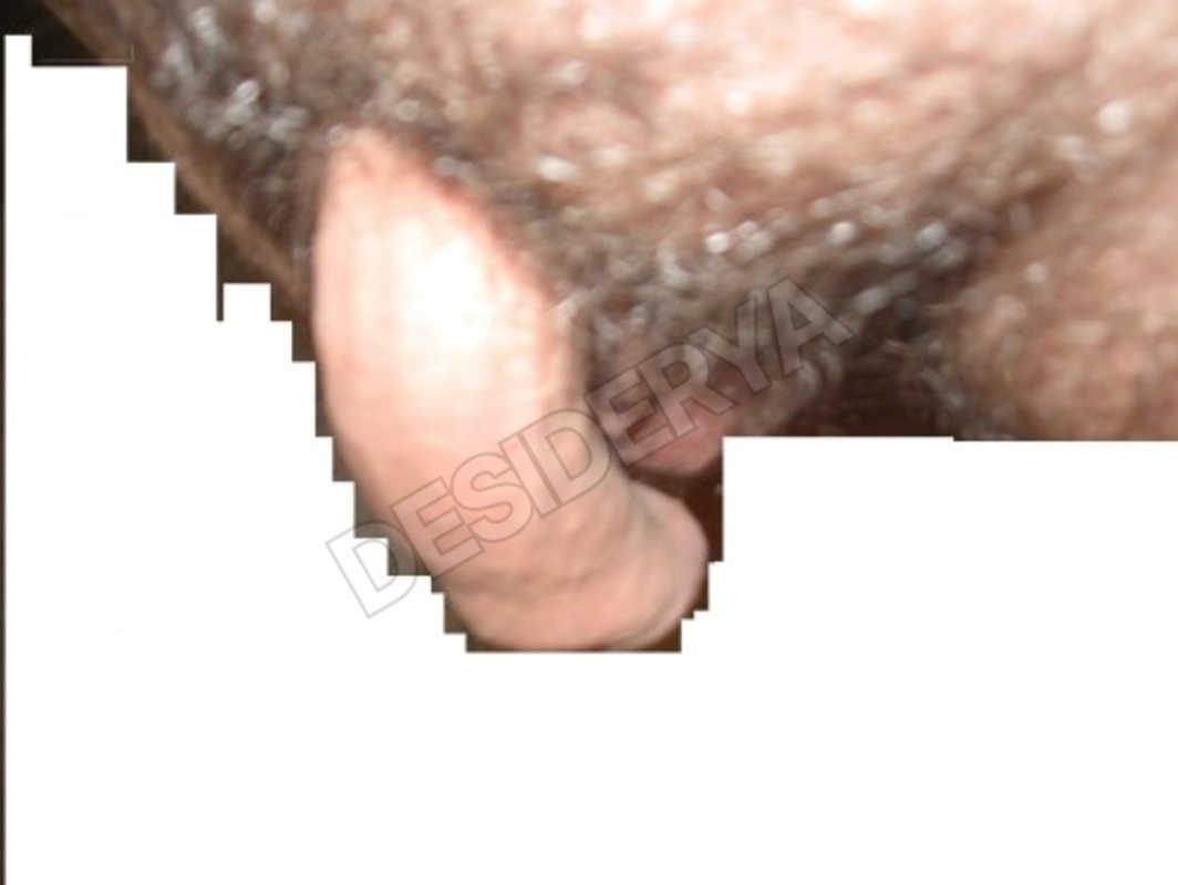 lei128811244681492