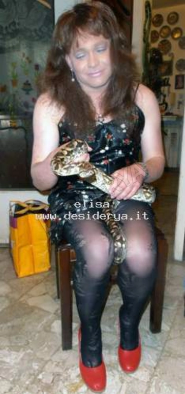 elisa1620795283937