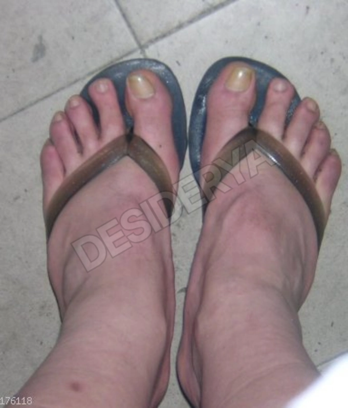 shalia5386536