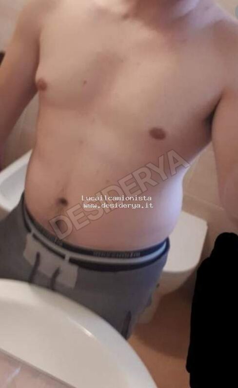 Lucailcamionista15880268