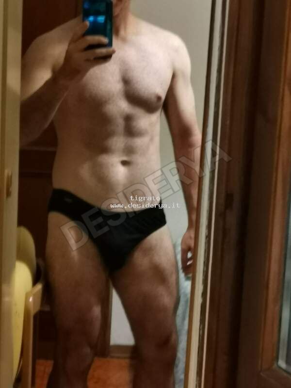 tigrato5265950