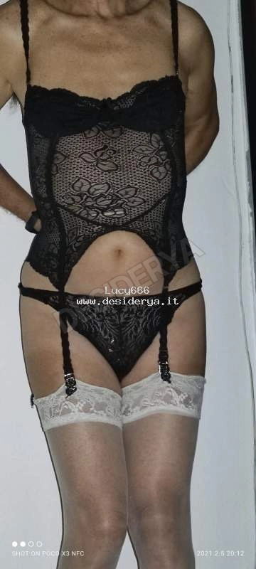Lucy6665861732