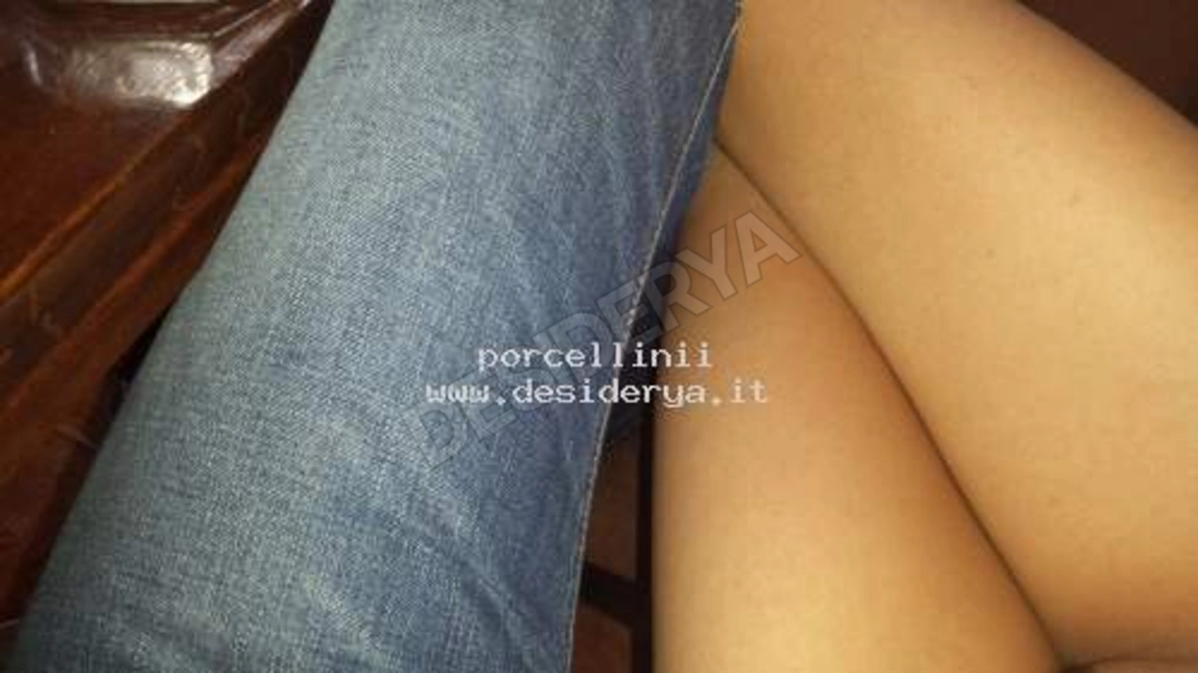 porcellinii5319593
