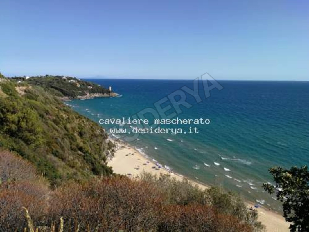 cavaliere1mascherato5565519