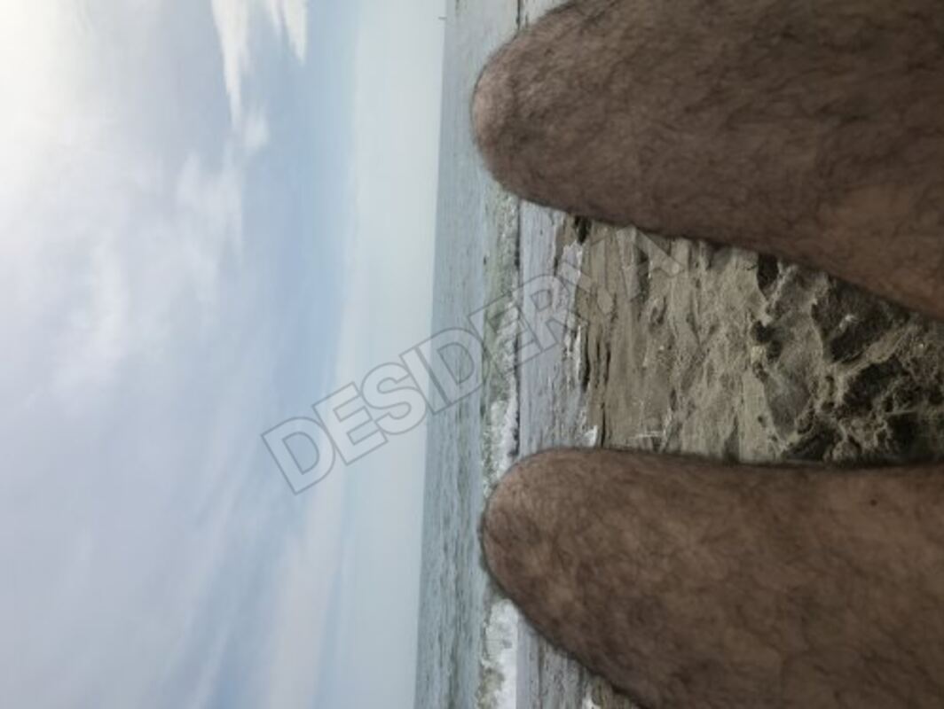 Lagunari4807442