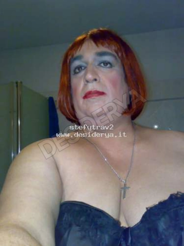 stefytrav25591152