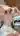 Anna784