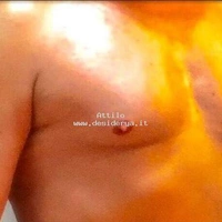 Attilo