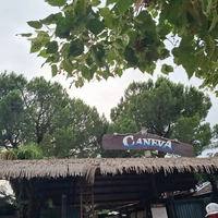 Lubana