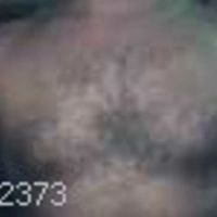 xxx65